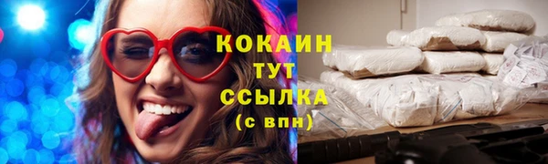 эйфоретик Вяземский