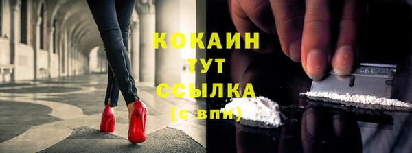 эйфоретик Вяземский