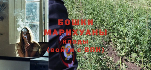 эйфоретик Вяземский