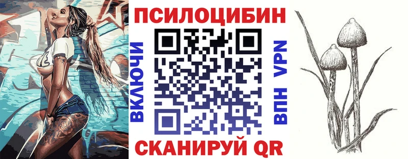 Галлюциногенные грибы GOLDEN TEACHER  Купить  Гдов 